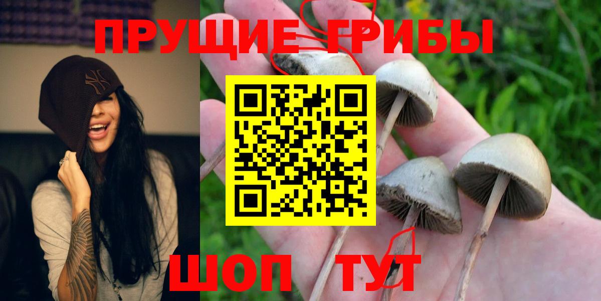 Псилоцибиновые грибы прущие грибы  Вход с VPN  Александров 